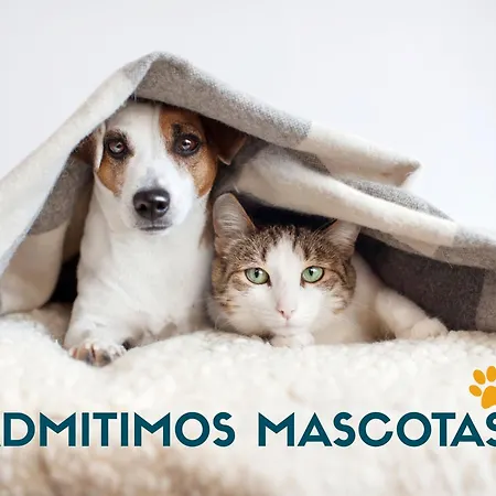 3000 Apartamento Candanchú