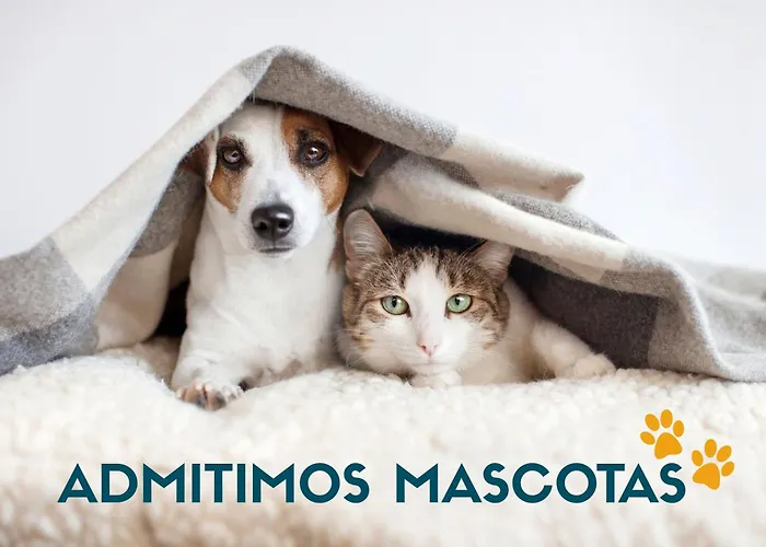 3000 Apartman Candanchú